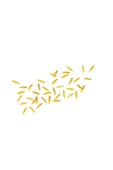 Barilla Risoni/Arpa Şehriye 500 Gr thumbnail 2