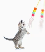 Elastik Kendinden Yapışkanlı Solucan Kedi Oltası thumbnail 4