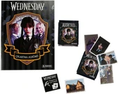 Panini Wednesday Sticker Albümü thumbnail 1