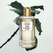 Mancera Fig Extasy EDP 120 ml Unisex Parfüm thumbnail 4