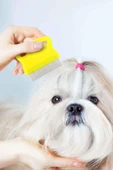 Kedi Köpek Bit ve Pire Tarağı thumbnail 1