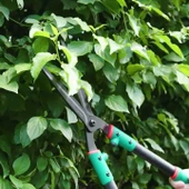 Çok Amaçlı Dalgalı Bıçaklı Çit Budama Makası thumbnail 3