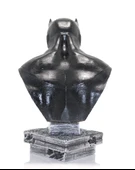 Darth Vader Büst 131 thumbnail 2