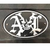AXL ELEKTRO GİTAR HARD CASE thumbnail 1