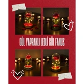 Gül Yapraklı Ledli Gül Fanus thumbnail 1