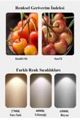 Osram Ledvalue 4,9W (40W) 3 lü Led Ampul Beyaz - 6500K E27 thumbnail 4