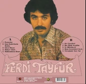Ferdi Tayfur Postacılar LP Plak thumbnail 2