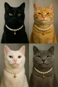 AKACAT Incili Kedi Tasması thumbnail 1