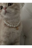 AKACAT Incili Kedi Tasması thumbnail 3