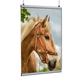 Poster Tutucu Clamp 200cm thumbnail 1