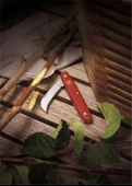 Victorinox 3.9060 Budama Çakısı thumbnail 3