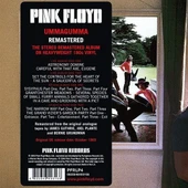 Pink Floyd Ummagumma (2016 Remastered Version) Double LP Plak thumbnail 3