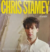 Chris Stamey It's Alright LP Plak thumbnail 1