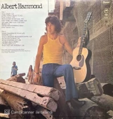 Albert Hammond Albert Hammond LP Plak thumbnail 2