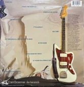 Chris Stamey It's Alright LP Plak thumbnail 2