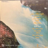 Cat Stevens Back To Earth LP Plak thumbnail 2