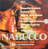 Nabucco Bobby Bean LP Klasik Plak thumbnail 1