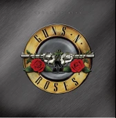 Guns'N Roses Greatest Hits Double LP Plak thumbnail 2
