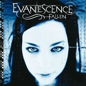 Evanescence Fallen LP Plak thumbnail 1