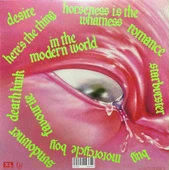 Romance Fontaines d.c LP Plak thumbnail 2