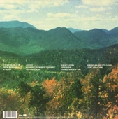 Tame Impala Innerspeaker Double LP Plak thumbnail 2