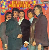 The Great Moody Blues Double LP Plak thumbnail 1