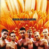Rammstein Herzeleid (Remastered) Double LP Plak thumbnail 1