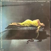 Bryan Ferry The Bridge Stripped Bare LP Plak thumbnail 2