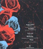 Deftones Deftones LP Plak thumbnail 2