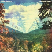 Tame Impala Innerspeaker Double LP Plak thumbnail 1