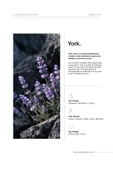 YORK 100 ML NICHE PARFÜM thumbnail 2