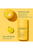 CAUDALIE SPF 50 STİCK thumbnail 2