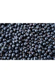 Ocean Spray Cranberry Blackcurrant 1 Lt thumbnail 4