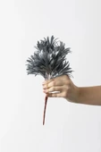 Yapay Defne Demeti 35 Cm 5 Dal (Uv) thumbnail 7