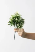 Yapay Defne Demeti 35 Cm 5 Dal (Uv) thumbnail 1