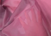 CAROLIN 17 BORDO 300 cm thumbnail 1