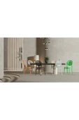 Daim Plastik PLUTO LÜX CAFE &  RESTAURANT  SANDALYESİ 2 Li Set thumbnail 2