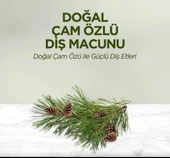 Doğal Diş Macunu 90 Gr Çam Özlü thumbnail 2