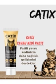 Paste Junior (Yavru Kediler İçin Multi Vitamin Paste) 100 Ml thumbnail 3