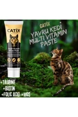 Paste Junior (Yavru Kediler İçin Multi Vitamin Paste) 100 Ml thumbnail 1
