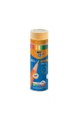Bic Evolutıon Kuru Boya Kalemi 36'Lı Metal Tüp 968491 thumbnail 2