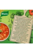 Knorr Şehriyeli Tavuklu Domates Çorbası 67 gr thumbnail 5