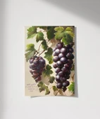 Üzüm Salkımı Duvar Poster thumbnail 4