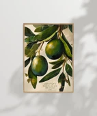 Zeytin Dalı Duvar Poster thumbnail 3