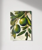 Zeytin Dalı Duvar Poster thumbnail 4