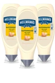 Hellmann's Mayonez 530 gr x 3 Adet thumbnail 1