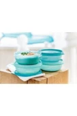 Tupperware Mavi Şeker Saklama Kapları 4 Lü thumbnail 2