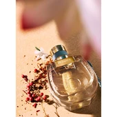 Nomade Lumiere D'egypte 75 ml Kadın Parfüm thumbnail 5