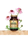 Solgar Echinacea 520 mg 100 Kapsül 2 Adet thumbnail 2