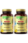 Solgar Gotu Kola 100 Kapsül 2 Adet thumbnail 1